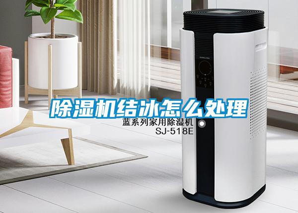 草莓视频APP在线观看结冰怎么处理