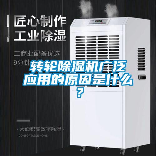 转轮草莓视频APP在线观看广泛应用的原因是什么？