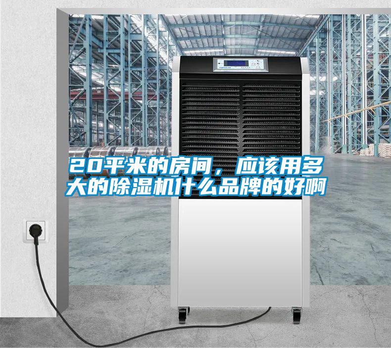 20平米的房间，应该用多大的草莓视频APP在线观看什么品牌的好啊