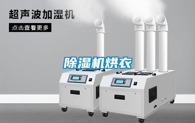 草莓视频APP在线观看烘衣