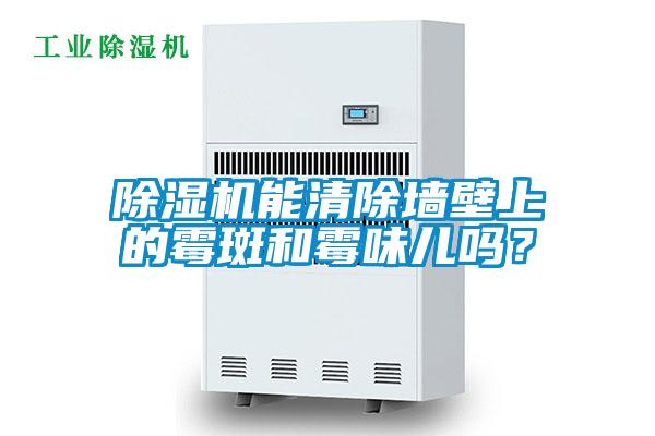 草莓视频APP在线观看能清除墙壁上的霉斑和霉味儿吗？