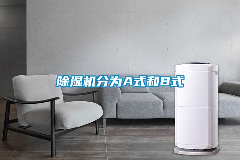 草莓视频APP在线观看分为A式和B式
