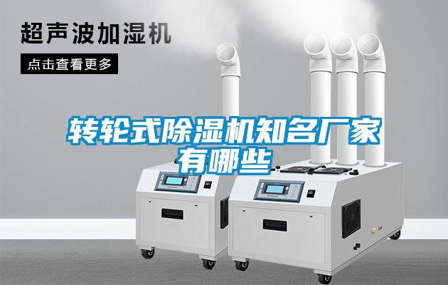 转轮式草莓视频APP在线观看知名厂家有哪些