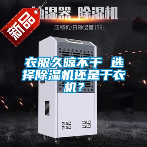 衣服久晾不干 选择草莓视频APP在线观看还是干衣机？