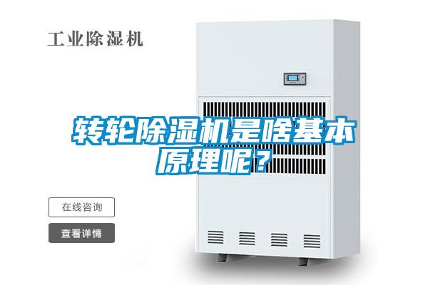 转轮草莓视频APP在线观看是啥基本原理呢？