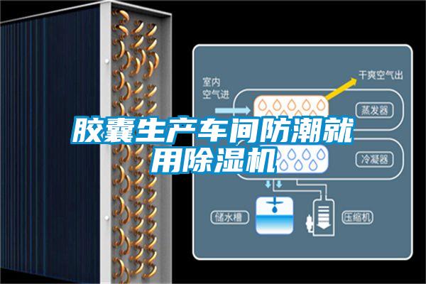 胶囊生产车间防潮就用草莓视频APP在线观看