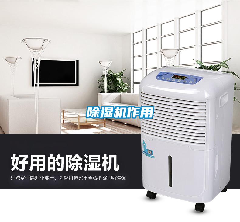 草莓视频APP在线观看作用
