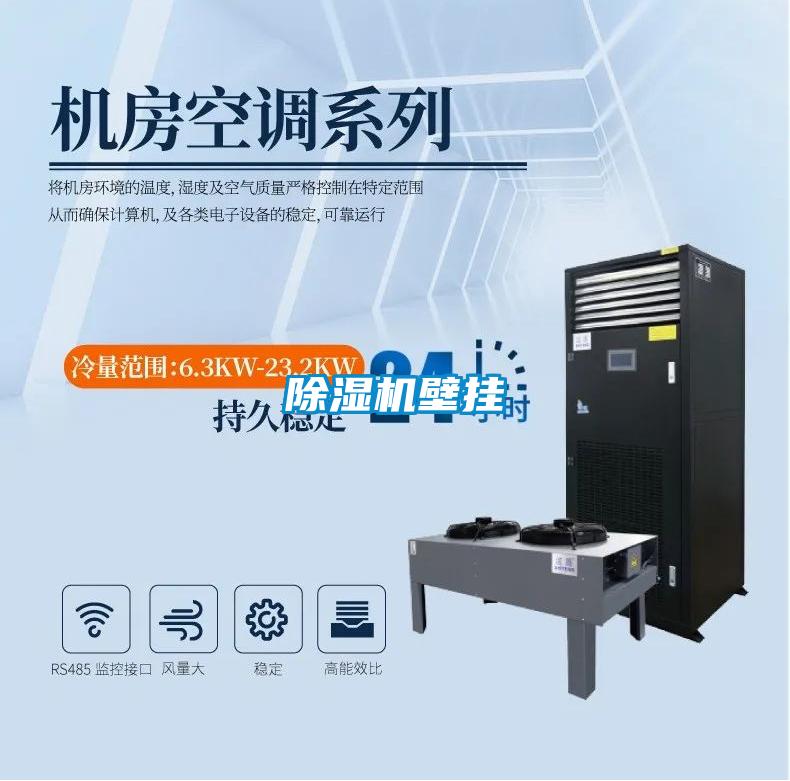 草莓视频APP在线观看壁挂