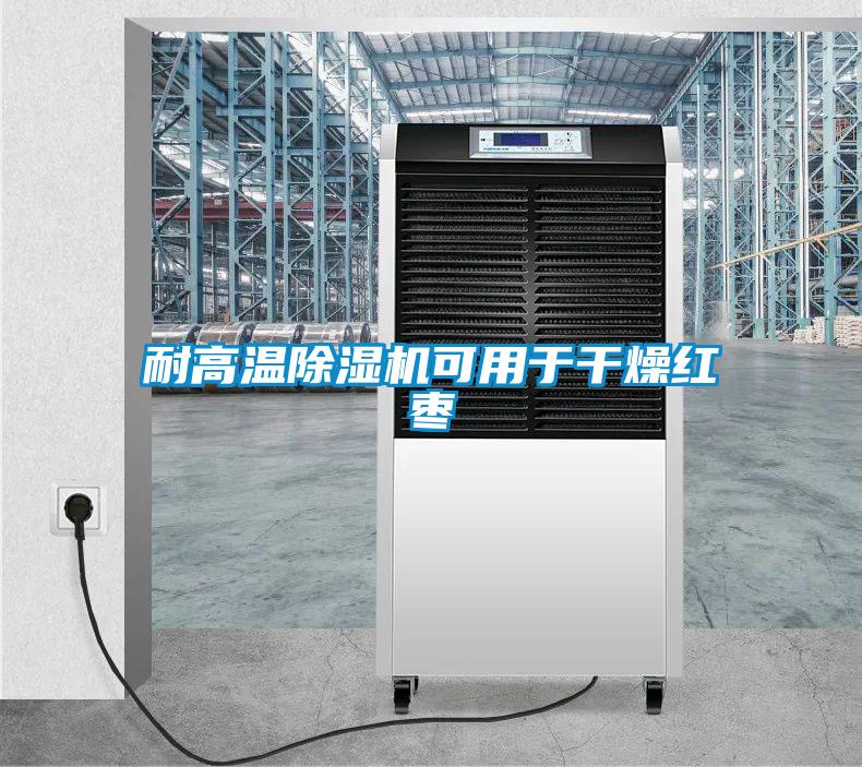 耐高温草莓视频APP在线观看可用于干燥红枣