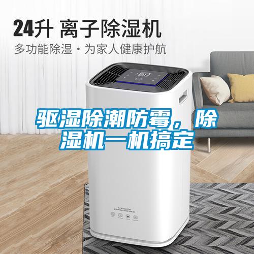 驱湿除潮防霉，草莓视频APP在线观看一机搞定