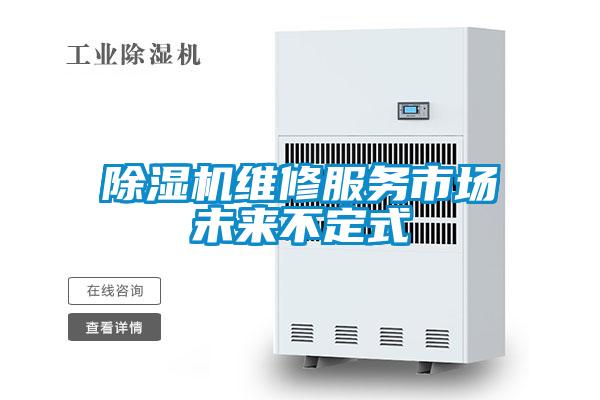 草莓视频APP在线观看维修服务市场未来不定式