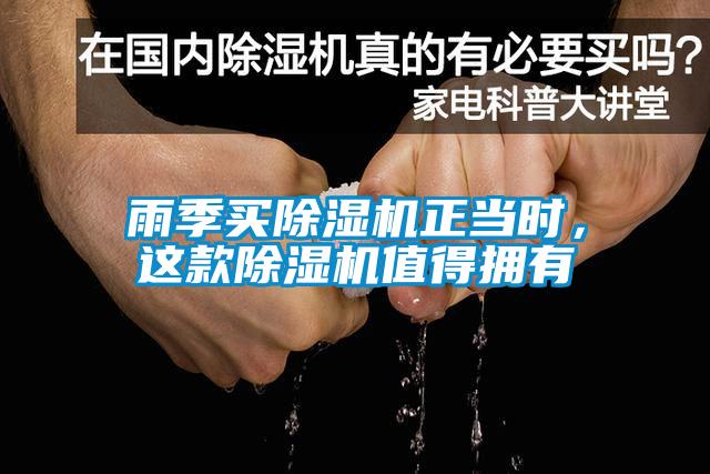 雨季买草莓视频APP在线观看正当时，这款草莓视频APP在线观看值得拥有