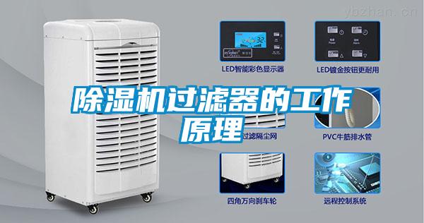 草莓视频APP在线观看过滤器的工作原理