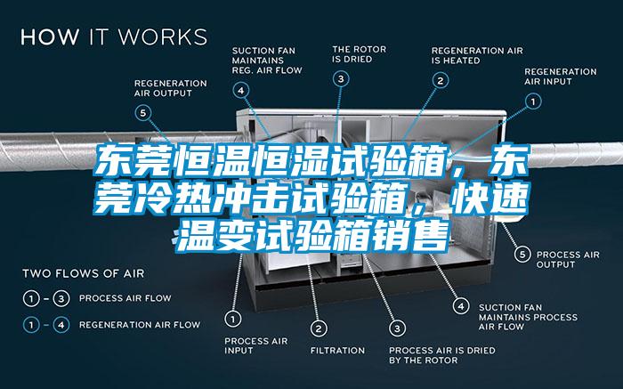 东莞恒温恒湿试验箱，东莞冷热冲击试验箱，快速温变试验箱销售