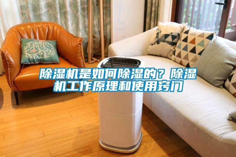 草莓视频APP在线观看是如何除湿的？草莓视频APP在线观看工作原理和使用窍门