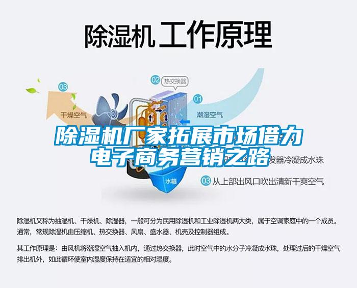 草莓视频APP在线观看厂家拓展市场借力电子商务营销之路