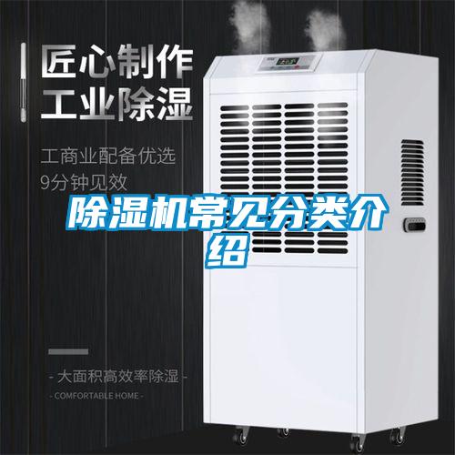 草莓视频APP在线观看常见分类介绍