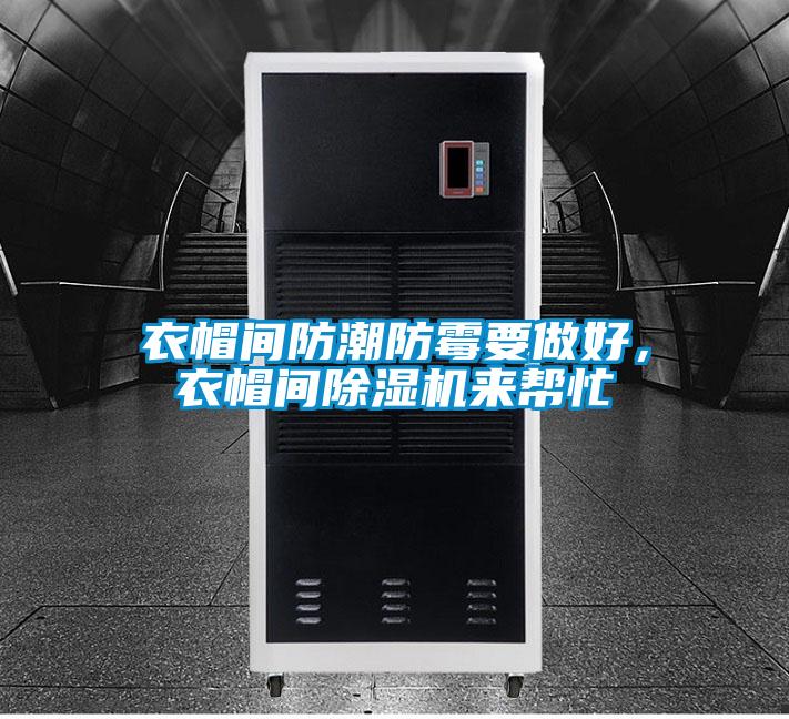 衣帽间防潮防霉要做好，衣帽间草莓视频APP在线观看来帮忙