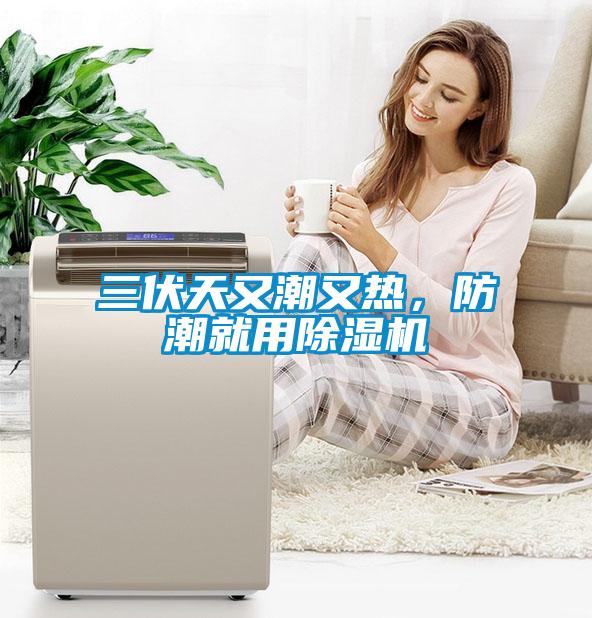三伏天又潮又热，防潮就用草莓视频APP在线观看