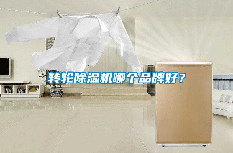 转轮草莓视频APP在线观看哪个品牌好？