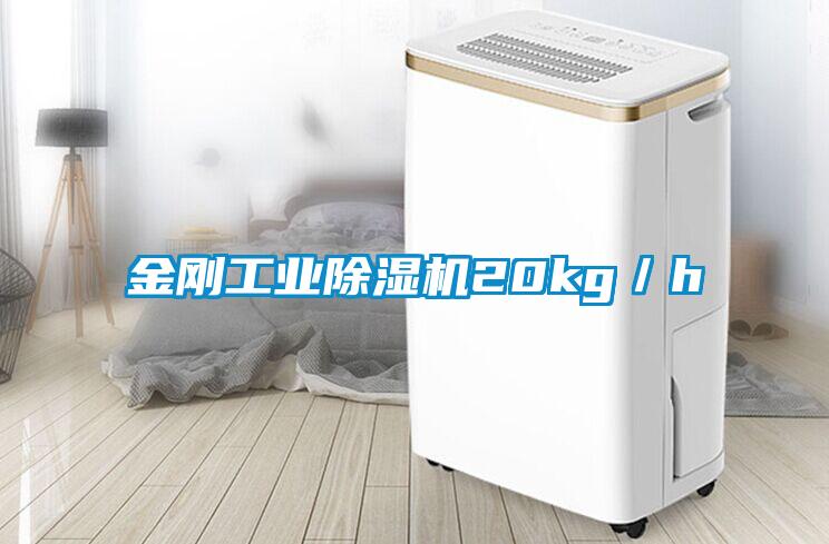 金刚工业草莓视频APP在线观看20kg／h