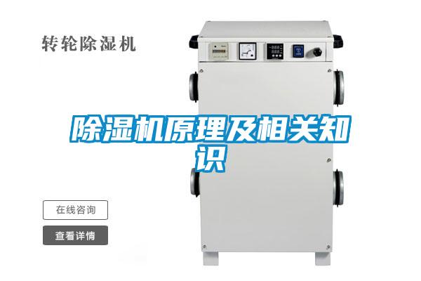 草莓视频APP在线观看原理及相关知识