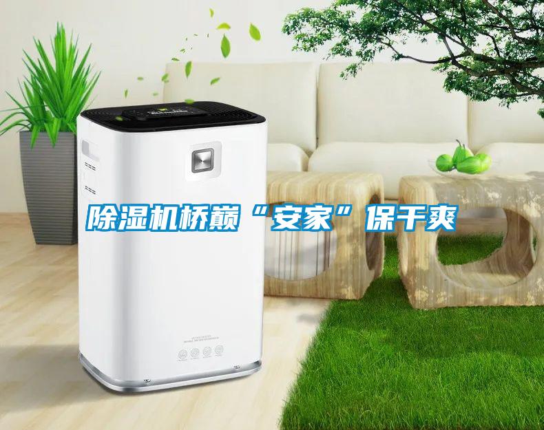 草莓视频APP在线观看桥巅“安家”保干爽