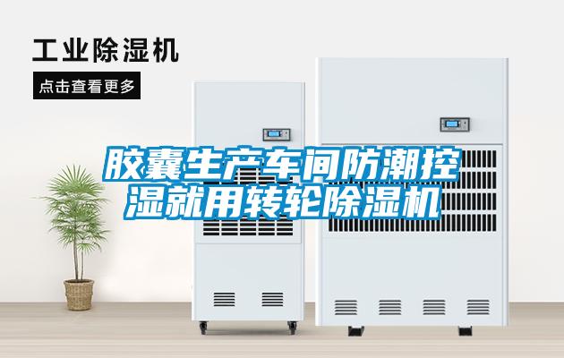 胶囊生产车间防潮控湿就用转轮草莓视频APP在线观看