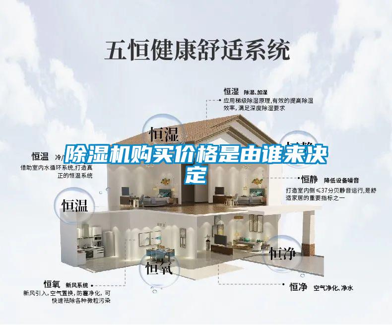 草莓视频APP在线观看购买价格是由谁来决定