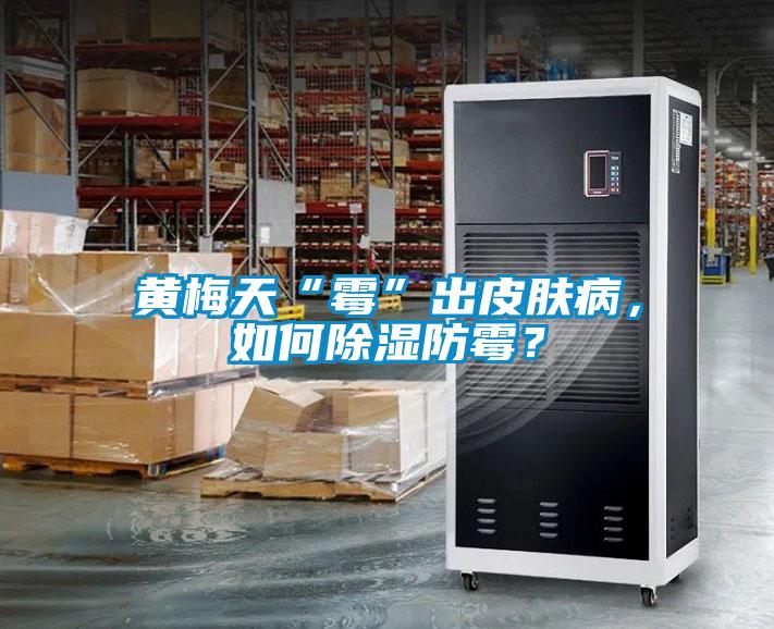 黄梅天“霉”出皮肤病，如何除湿防霉？