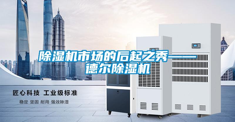 草莓视频APP在线观看市场的后起之秀——德尔草莓视频APP在线观看