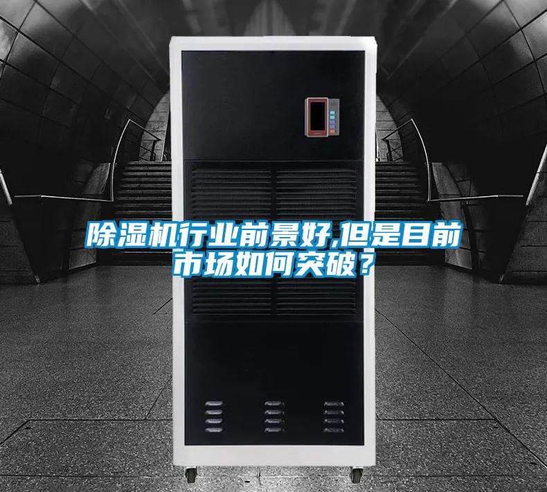 草莓视频APP在线观看行业前景好,但是目前市场如何突破？