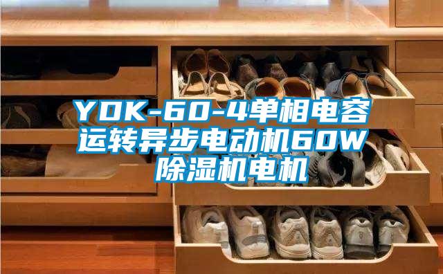 YDK-60-4单相电容运转异步电动机60W 草莓视频APP在线观看电机