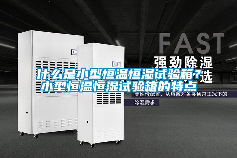 什么是小型恒温恒湿试验箱？小型恒温恒湿试验箱的特点