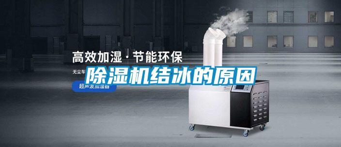 草莓视频APP在线观看结冰的原因