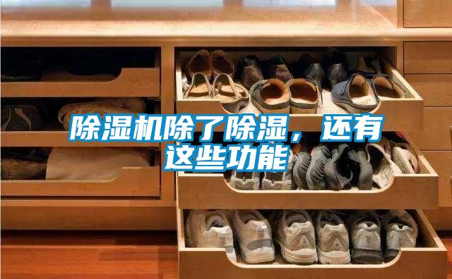 草莓视频APP在线观看除了除湿，还有这些功能