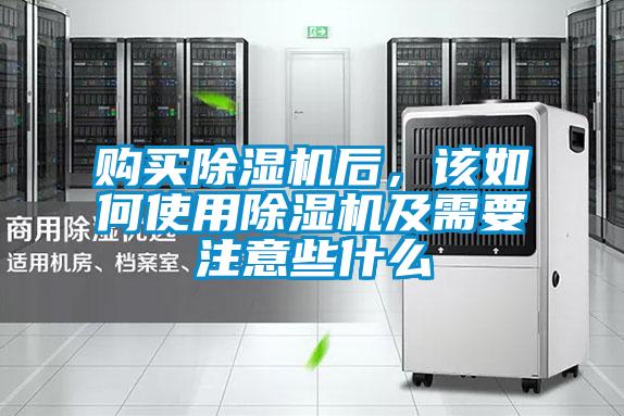 购买草莓视频APP在线观看后，该如何使用草莓视频APP在线观看及需要注意些什么