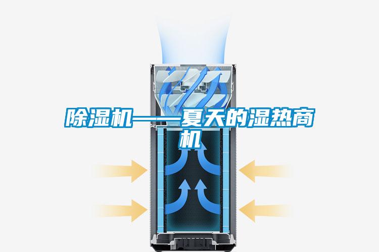草莓视频APP在线观看——夏天的湿热商机