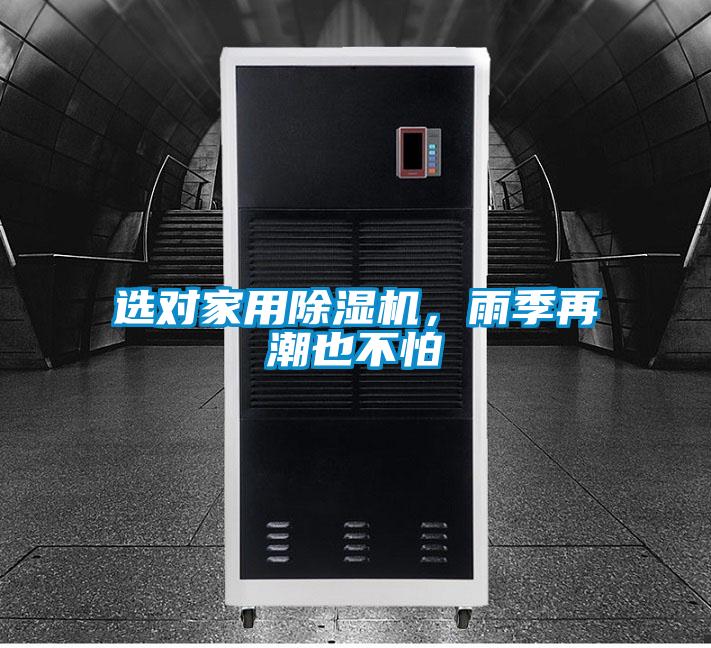 选对家用草莓视频APP在线观看，雨季再潮也不怕