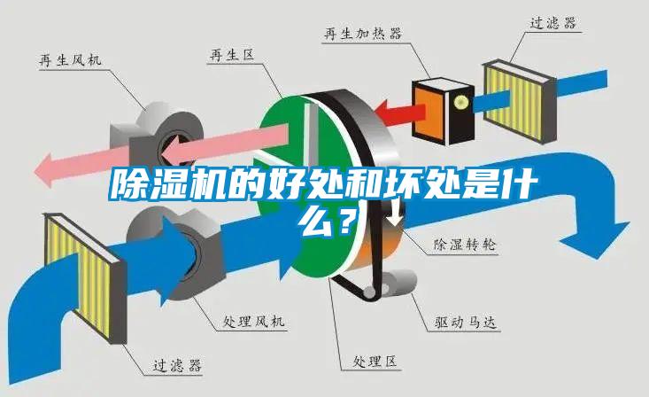 草莓视频APP在线观看的好处和坏处是什么？