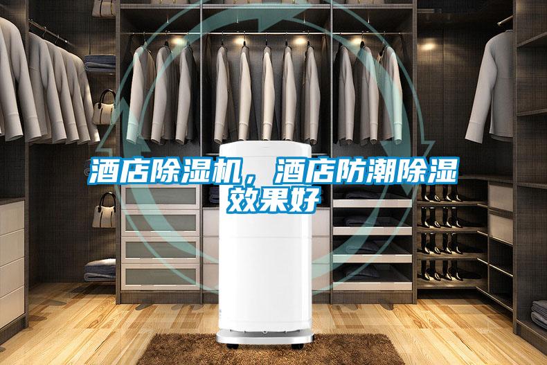 酒店草莓视频APP在线观看，酒店防潮除湿效果好