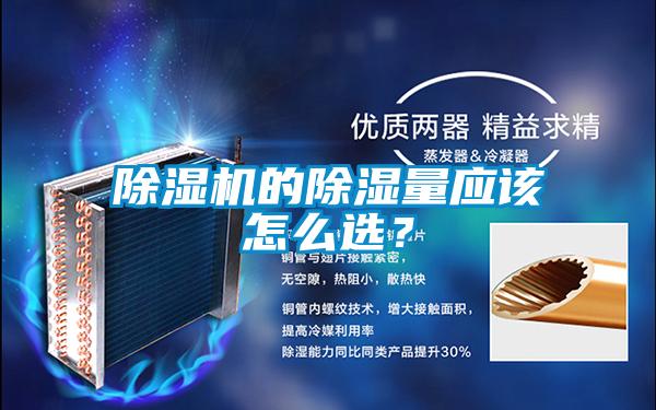 草莓视频APP在线观看的除湿量应该怎么选？