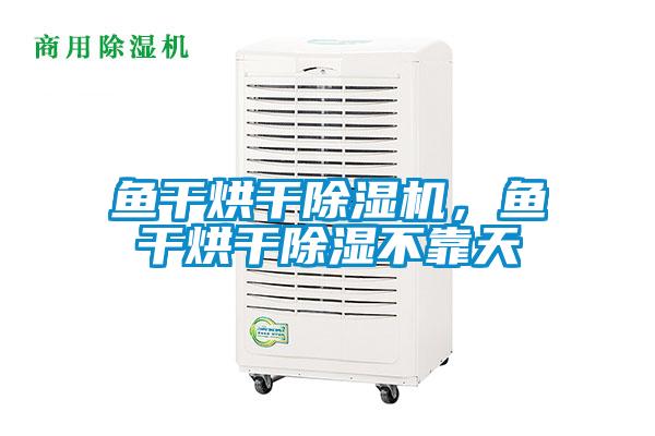鱼干烘干草莓视频APP在线观看，鱼干烘干除湿不靠天