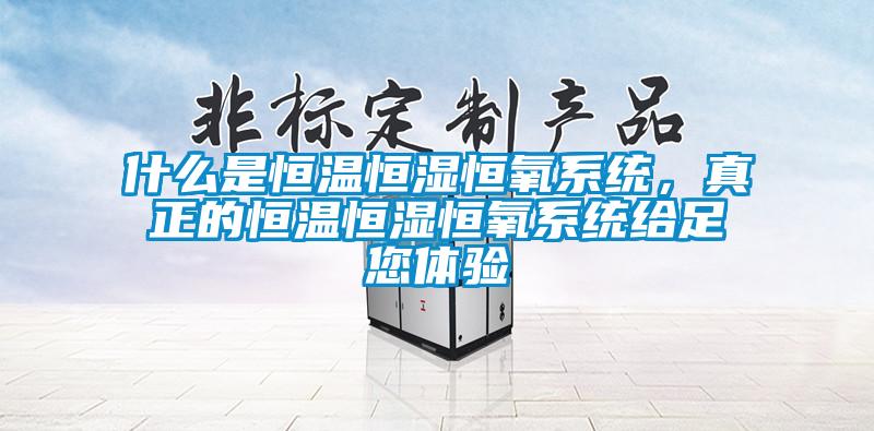 什么是恒温恒湿恒氧系统，真正的恒温恒湿恒氧系统给足您体验