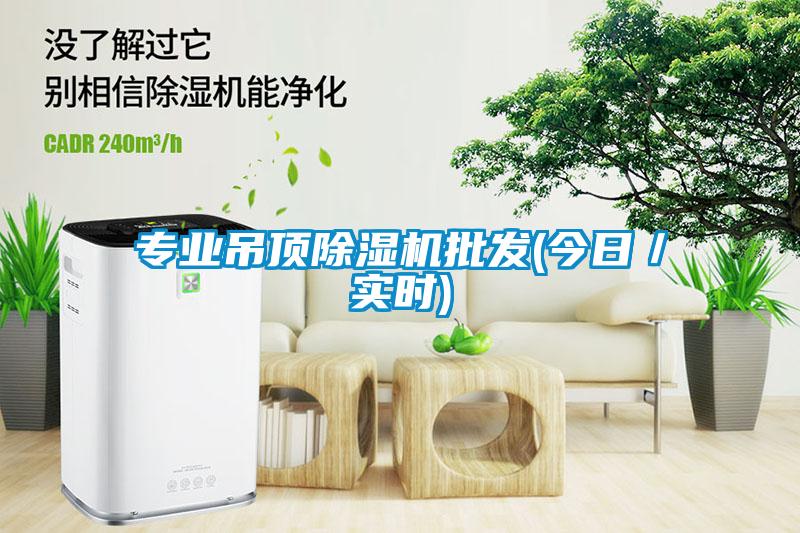 专业吊顶草莓视频APP在线观看批发(今日／实时)