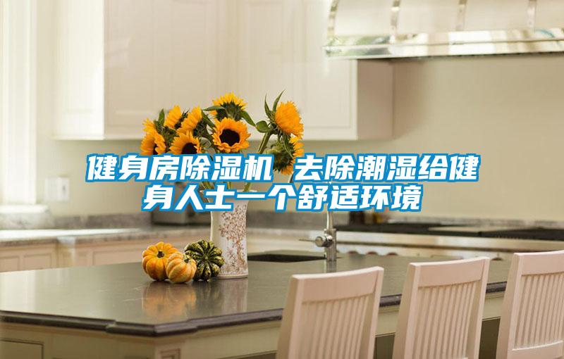 健身房草莓视频APP在线观看 去除潮湿给健身人士一个舒适环境