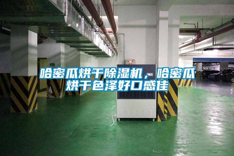 哈密瓜烘干草莓视频APP在线观看，哈密瓜烘干色泽好口感佳