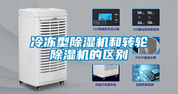 冷冻型草莓视频APP在线观看和转轮草莓视频APP在线观看的区别
