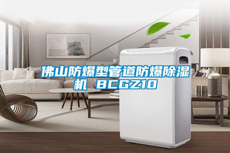 佛山防爆型管道防爆草莓视频APP在线观看 BCGZ10