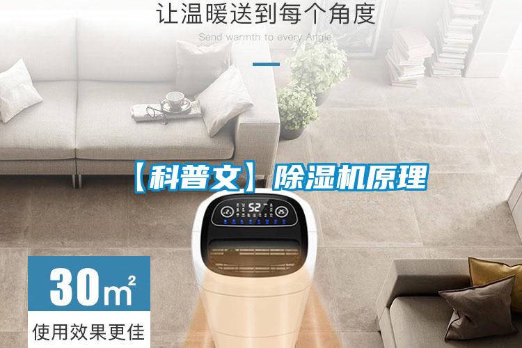 【科普文】草莓视频APP在线观看原理